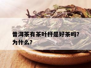 普洱茶有茶叶杆是好茶吗？为什么？