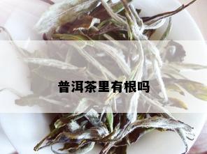 普洱茶里有根吗