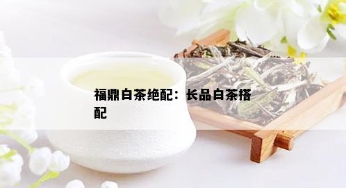 福鼎白茶绝配：长品白茶搭配