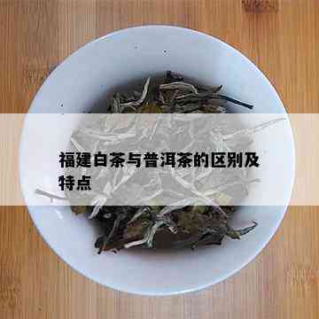 福建白茶与普洱茶的区别及特点