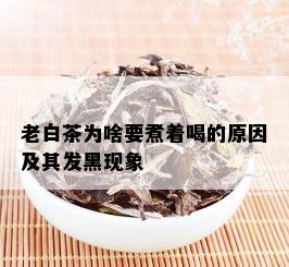 老白茶为啥要煮着喝的原因及其发黑现象