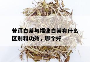 普洱白茶与福鼎白茶有什么区别和功效，哪个好