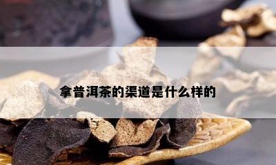 拿普洱茶的渠道是什么样的