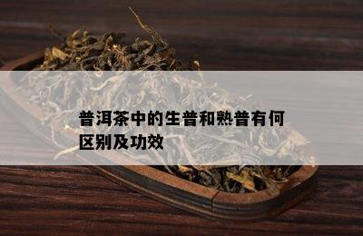 普洱茶中的生普和熟普有何区别及功效