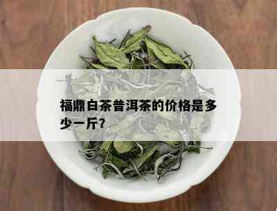 福鼎白茶普洱茶的价格是多少一斤？