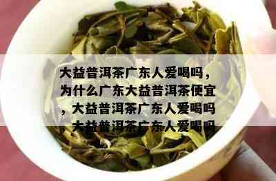 大益普洱茶广东人爱喝吗，为什么广东大益普洱茶便宜，大益普洱茶广东人爱喝吗，大益普洱茶广东人爱喝吗