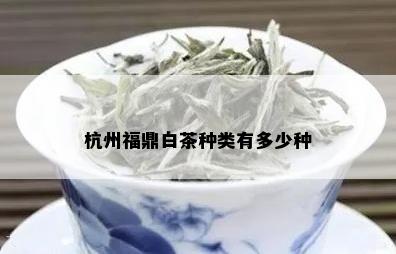 杭州福鼎白茶种类有多少种