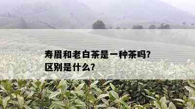 寿眉和老白茶是一种茶吗？区别是什么？