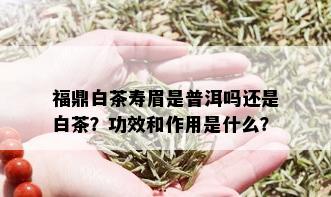 福鼎白茶寿眉是普洱吗还是白茶？功效和作用是什么？