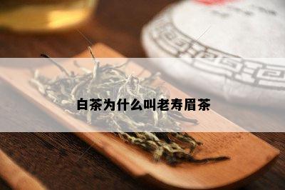 白茶为什么叫老寿眉茶