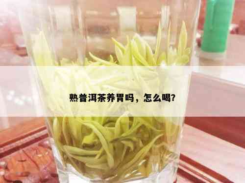 熟普洱茶养胃吗，怎么喝？