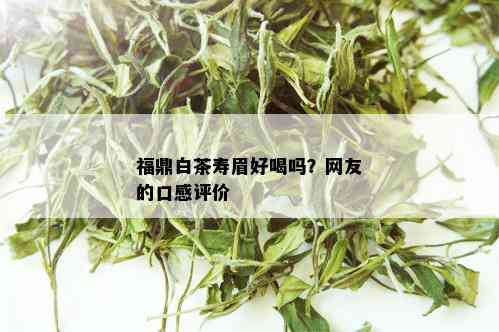 福鼎白茶寿眉好喝吗？网友的口感评价