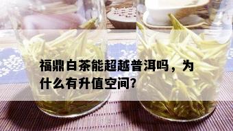 福鼎白茶能超越普洱吗，为什么有升值空间？