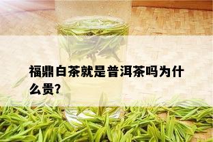 福鼎白茶就是普洱茶吗为什么贵？