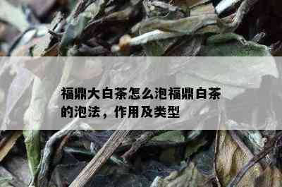 福鼎大白茶怎么泡福鼎白茶的泡法，作用及类型