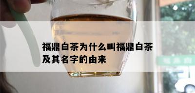 福鼎白茶为什么叫福鼎白茶及其名字的由来