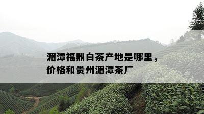 湄潭福鼎白茶产地是哪里，价格和贵州湄潭茶厂