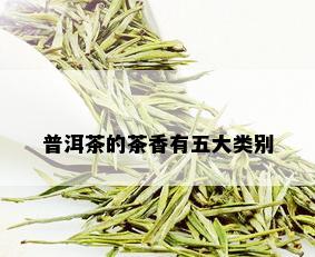 普洱茶的茶香有五大类别