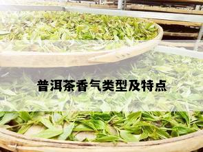 普洱茶香气类型及特点