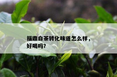 福鼎白茶转化味道怎么样，好喝吗？