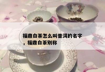 福鼎白茶怎么叫普洱的名字，福鼎白茶别称