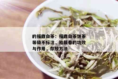 的福鼎白茶：福鼎白茶饼茶等级不标注，裕颜春的功效与作用，存放方法