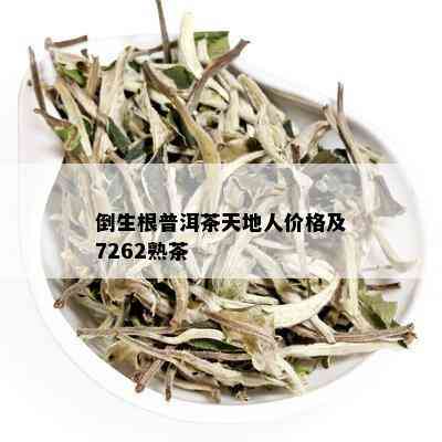 倒生根普洱茶天地人价格及7262熟茶