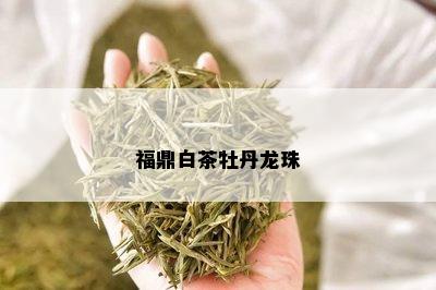 福鼎白茶牡丹龙珠