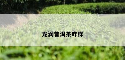 龙润普洱茶咋样