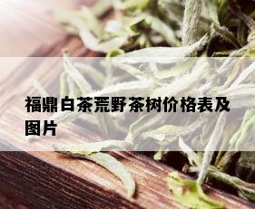 福鼎白茶荒野茶树价格表及图片