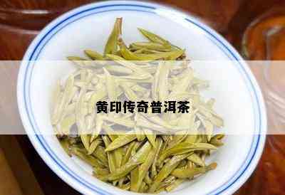 黄印传奇普洱茶