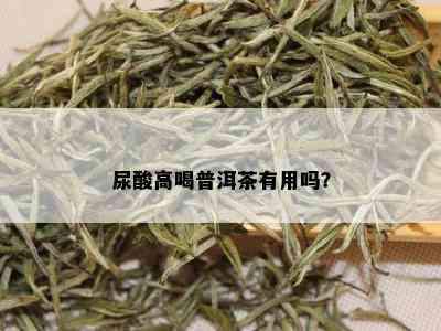 尿酸高喝普洱茶有用吗？