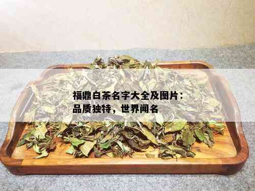 福鼎白茶名字大全及图片：品质独特，世界闻名