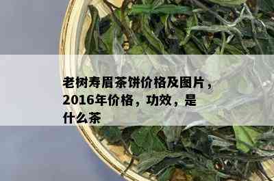 老树寿眉茶饼价格及图片，2016年价格，功效，是什么茶