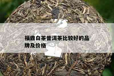 福鼎白茶普洱茶比较好的品牌及价格