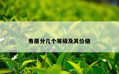 寿眉分几个等级及其价格