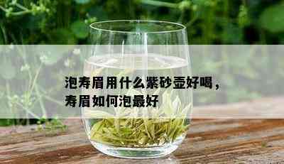 泡寿眉用什么紫砂壶好喝，寿眉如何泡更好