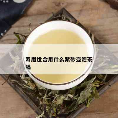 寿眉适合用什么紫砂壶泡茶喝