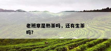 老班章是熟茶吗，还有生茶吗？