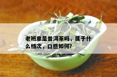 老班章是普洱茶吗，属于什么档次，口感如何？