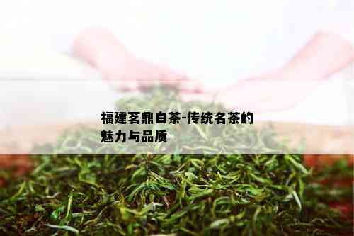 福建茗鼎白茶-传统名茶的魅力与品质