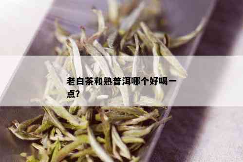 老白茶和熟普洱哪个好喝一点？