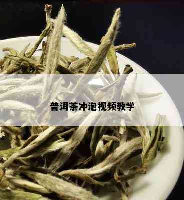 普洱茶冲泡视频教学