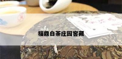 福鼎白茶庄园窖藏