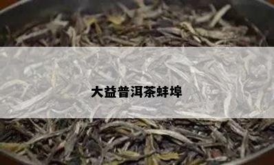 大益普洱茶蚌埠