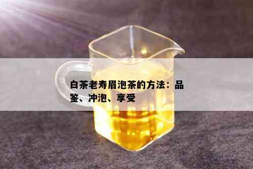 白茶老寿眉泡茶的方法：品鉴、冲泡、享受