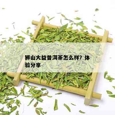 狮山大益普洱茶怎么样？体验分享