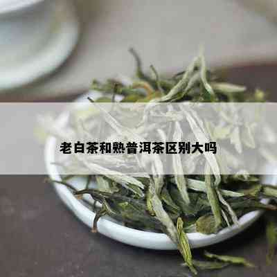 老白茶和熟普洱茶区别大吗