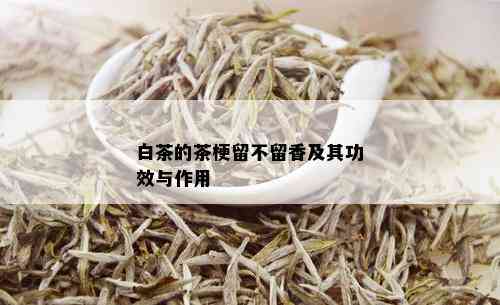 白茶的茶梗留不留香及其功效与作用