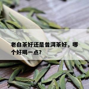 老白茶好还是普洱茶好，哪个好喝一点？